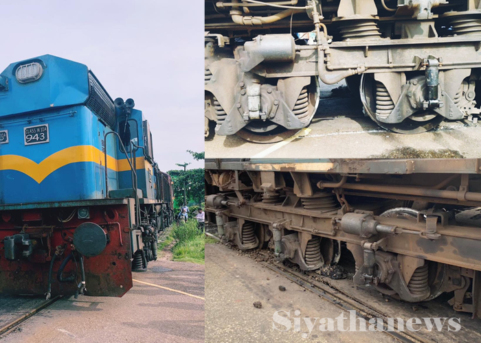 කාර්යාල දුම්රියක් පීලි පනියි (ඡායාරූප)