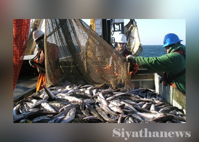 ධීවර රැකියාවේ නිරත පිරිස් වෙනුවෙන් රක්ෂණාවරණයක්