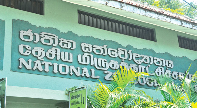 දෙසැම්බර් 23 හා 24 නොමිලේ ලැබෙන විශේෂ අවස්ථාව