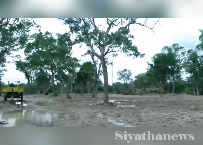 ත්‍රිකෝණමඩු රක්ෂිතයේ වන විනාශය නිසා අලි ගම් වදියි
