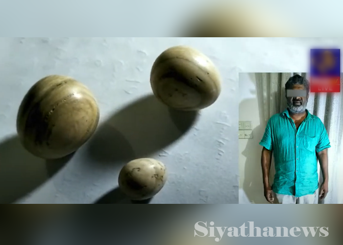 මිල අධික ගජමුතු සන්තකයේ තබාගෙන සිටි පුද්ගලයෙකු අත්අඩංගුවට