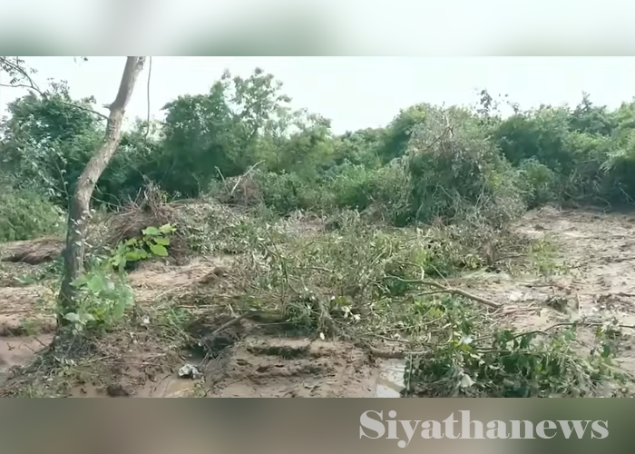 මහවැලි ගඟ උතුර රක්ෂිතයේ වන විනාශයක්