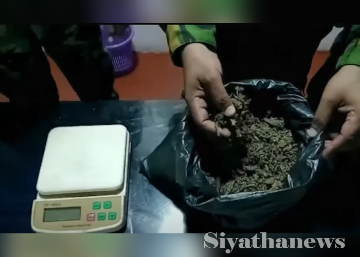 කේරල ගංජා සමග පුද්ගලයෙකු අත්අඩංගුවට