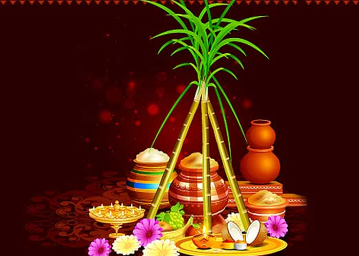 තෛපොංගල් දිනය අදයි