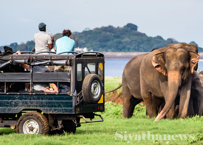 යාල ගණුදෙනු දැන් ඩොලර්වලින්