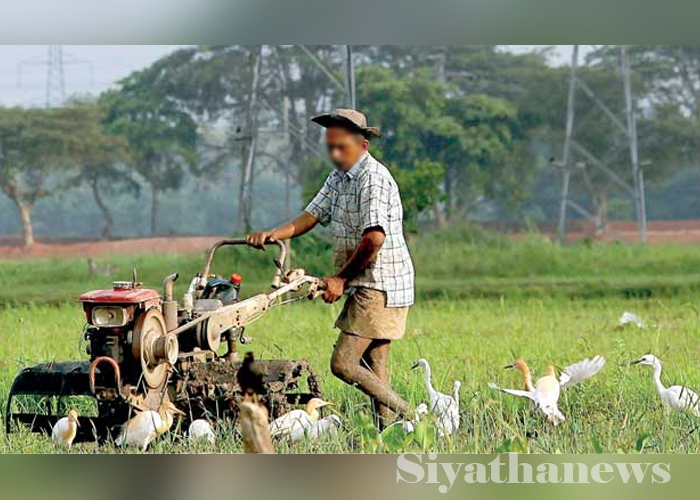 ගොවීන්ට අද සිට ඩීසල්