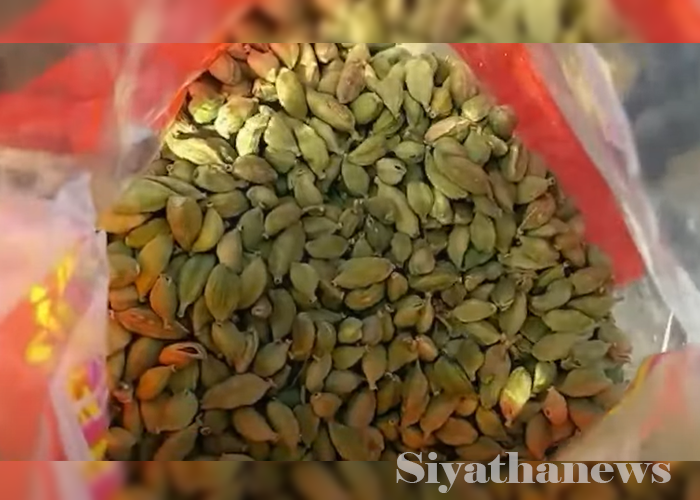 නීති විරෝධී ලෙස රැගෙන ආ එනසාල් තොගයක් අත්අඩංගුවට