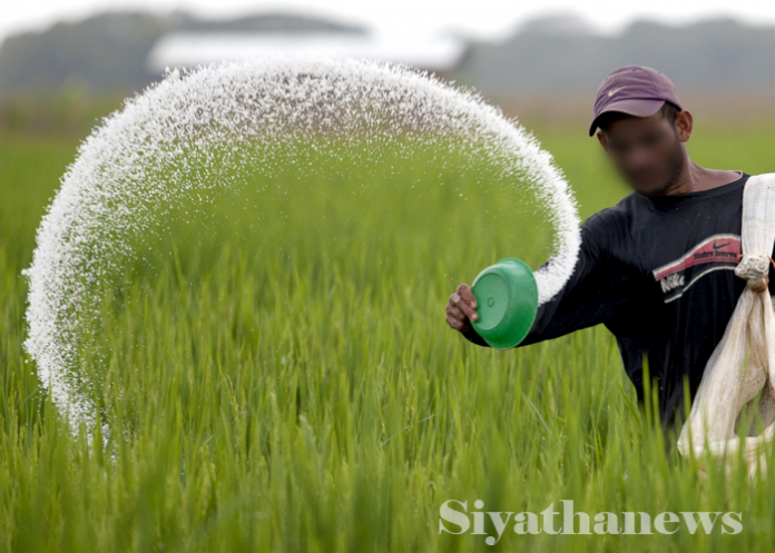 යූරියා මිල අඩුකෙරේ