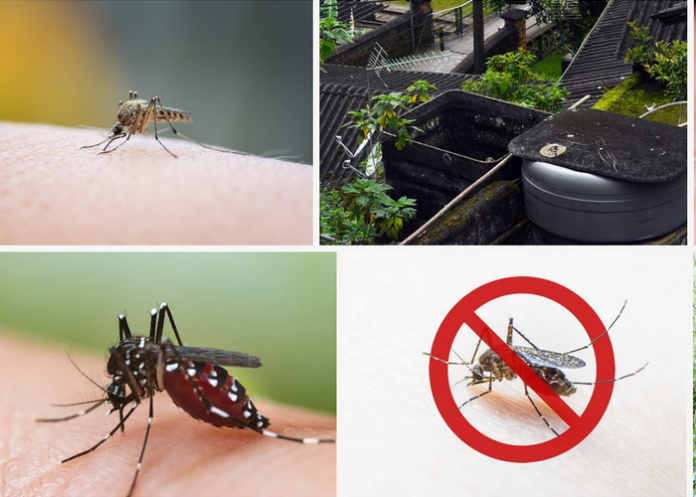 ඩෙංගු අවදානම් දිස්ත්‍රික්ක 13ක්