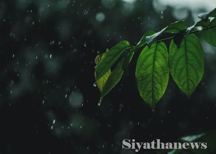 අද වැසි වාර කිහිපයක්