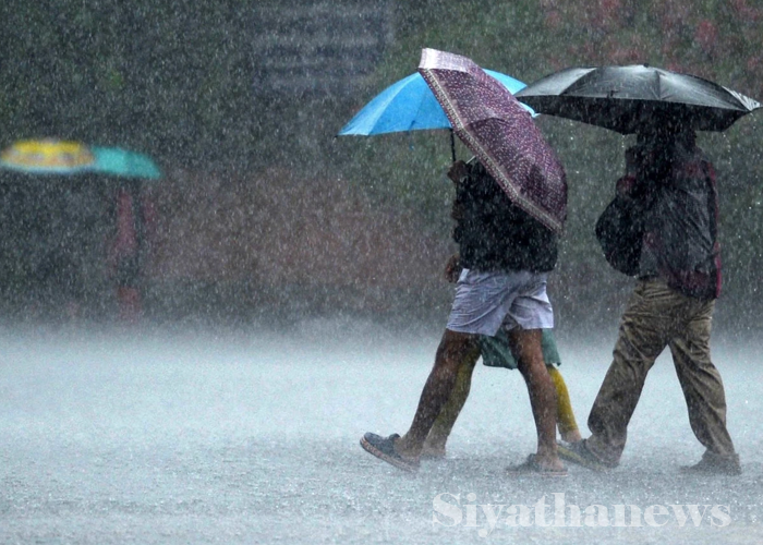 සවස් කාලයේ ගිගුරුම් සහිත වැසි