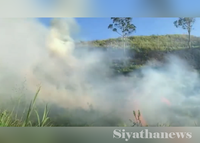 අක්කර 25 ක තෘණ වගාවක් ගින්නෙන් විනාශ වෙයි
