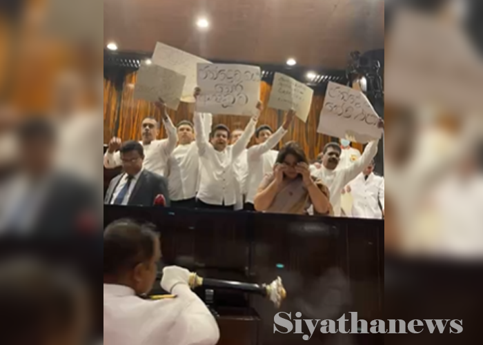 ඡන්දය ඉල්ලා පාර්ලිමේන්තුවේ විරෝධතාවයක්