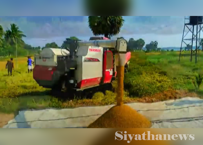 චීන රජය පරිත්‍යාග කළ ඉන්ධන අද සිට ගොවීන්ට