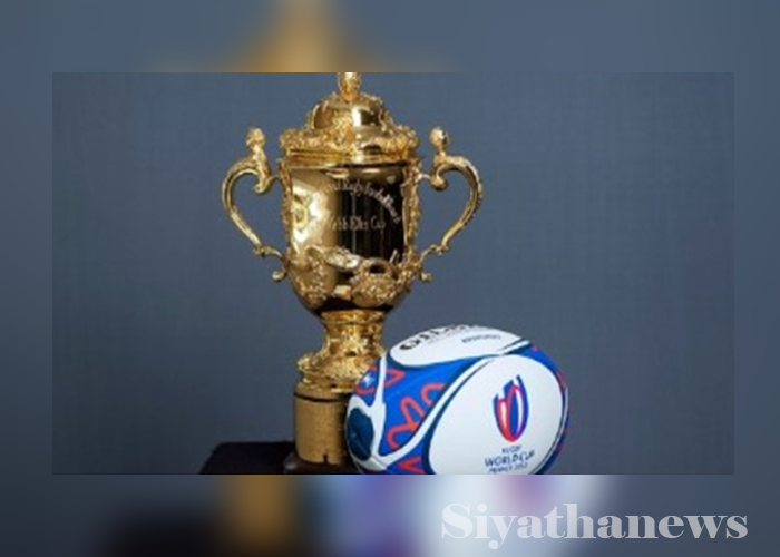 රග්බි