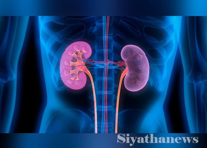 වකුගඩු රෝගයේ මුලික ලක්ෂණ