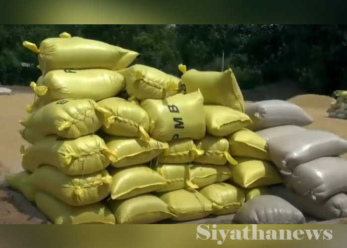 වී මිලදී ගන්න ගබඩා විවෘත නැති බවට ගොවීන්ගෙන් චෝදනා