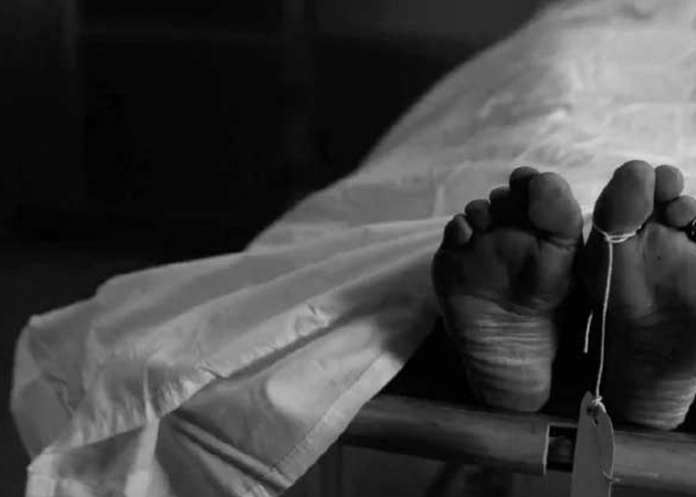 වනඅලි ප්‍රහාරයකින් එක්දරු මවක් මරුට