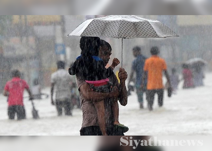 අද සවස් කාලයේදී වැසි