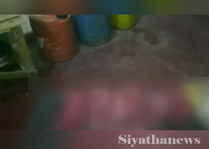 මුව මස් ප්‍රවාහනය කරමින් සිටි පුද්ගලයින් තිදෙනෙකු අත්අඩංගුවට