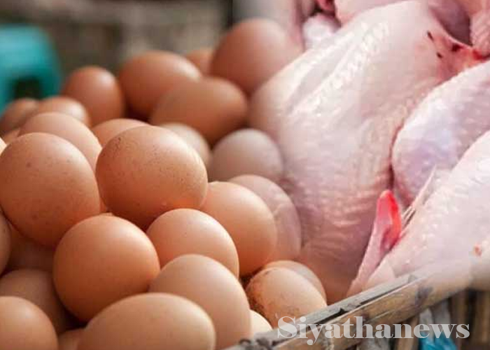 උත්සව සමයේ කුකුළු මස්, බිත්තර මිල වැඩිවන ලකුණු