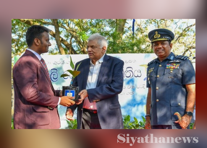 රට පුරා කොස් පැළ සිටුවීමේ වැඩසටහන ජනපති ප්‍රධානත්වයෙන්
