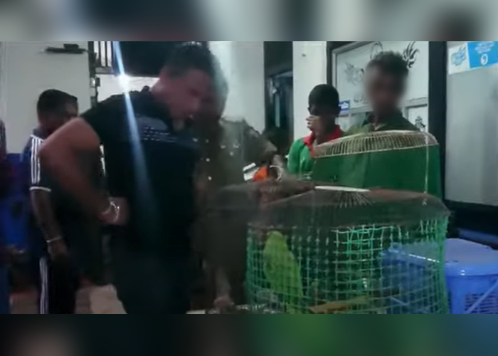 ශ්‍රී පාද රක්ෂිතයෙන් අල්ලා ගන්නා ගිරවුන් විකිණීමේ ජාවාරමක්