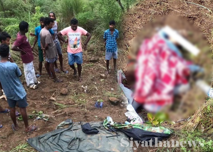 උඩදියලුම වන අලි ප්‍රහාරයකින් තරුණියක් මරුට