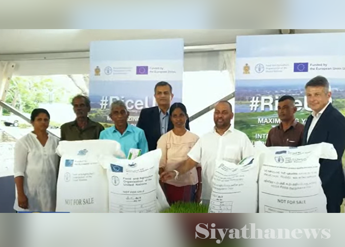 ශ්‍රී ලංකාවේ ආහාර සුරක්ෂිතභාවය ශක්තිමත් කිරීමට නව වැඩපිළිවෙලක්