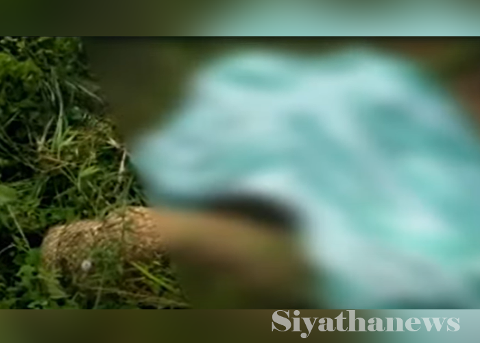 මැදවච්චියේ වන අලි පහර දීමකින් පුද්ගලයෙකු මරුට