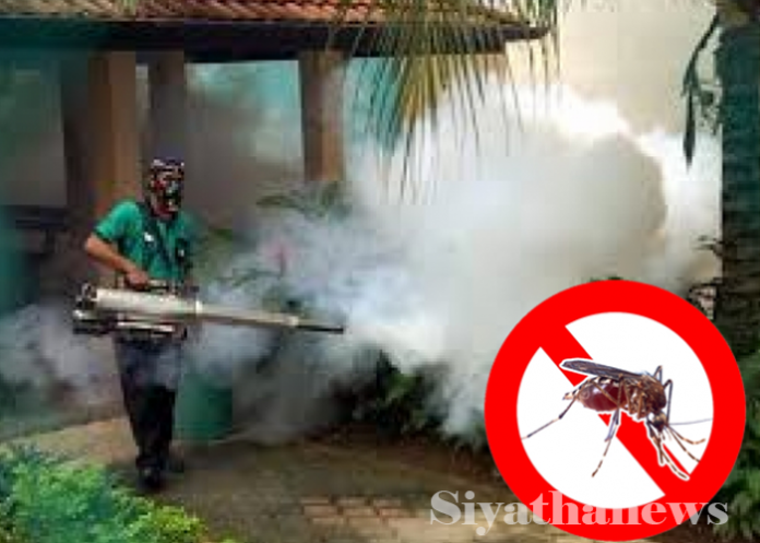 ඩෙංගු