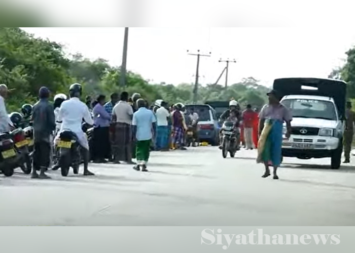 වන අලි පහරදීමකින් භික්ෂූන් වහන්සේ නමකට දිවි අහිමි වෙයි