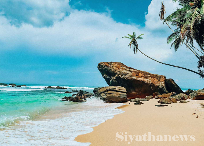 මුහුදු තීරය වටා සංචාරකයන් ආකර්ෂණය කර ගැනීමේ වැඩපිළිවෙලක්
