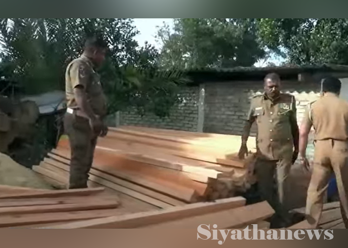 නීති විරෝධී ලෙස දැව ප්‍රවාහනය කළ ලොරි රථයක් පොලිස් භාරයට