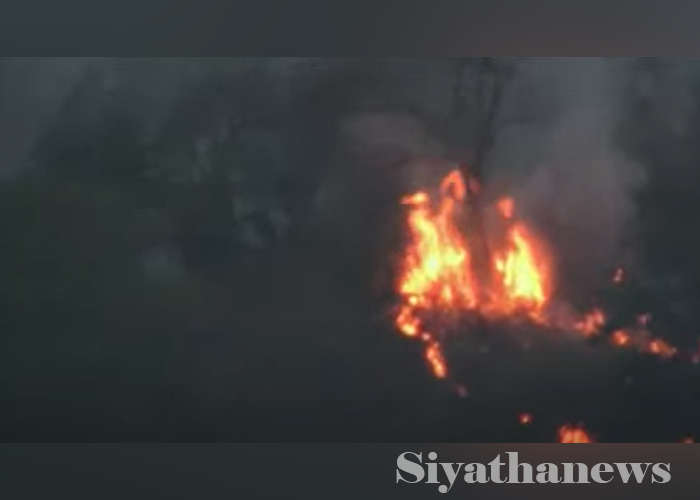 වැල්ලවාය මැදගොඩ කඳු රක්ෂිතයේ ගින්නක්