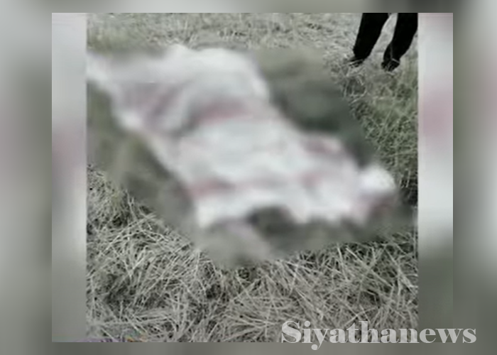 වන අලි පහර දීමකින් පුද්ගලයෙක් මරුට