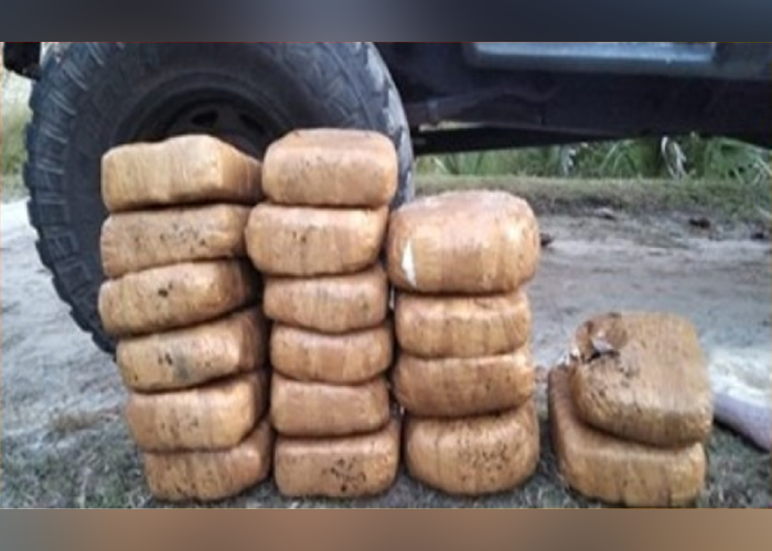 මිලියන 11ක කේරළ ගංජා තොගයක් හමුදා භාරයට