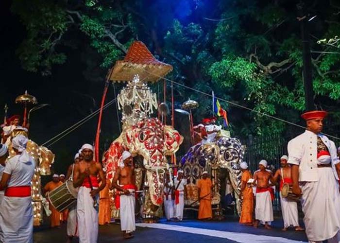 ඇසළ පෙරහර මහා මංගල්ලය සඳහා කප් සිටුවීම හෙට