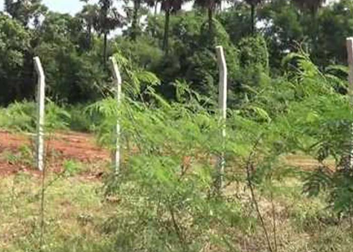 මේ මාසයේ දී ඉඩම් හිමිකම් පත්‍ර ලැබෙන පවුල් පහළොස්දහස