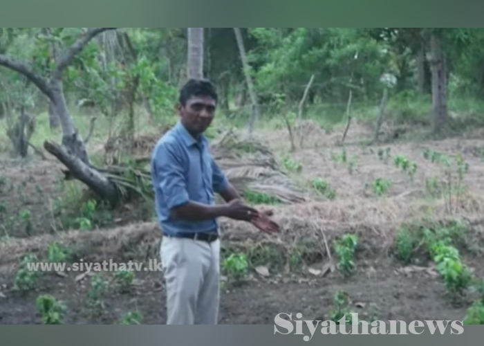 රටට ආදර්ශයක් දෙන තරුණ ව්‍යවසායකයා(VIDEO)
