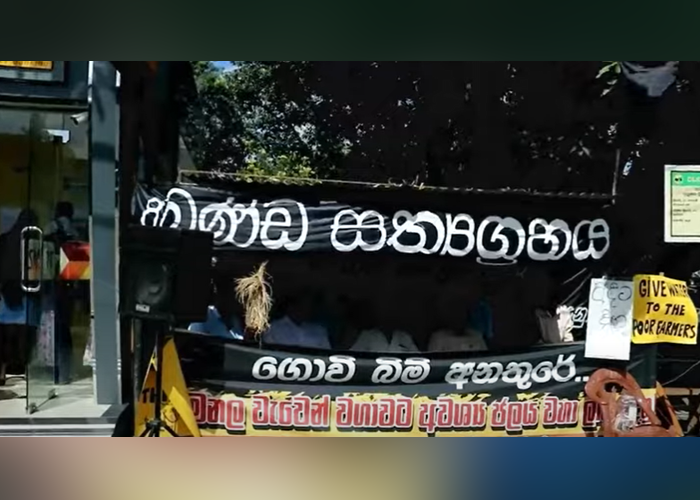 ඇඹිලිපිටියේ ගොවි සත්‍යග්‍රහය 15වන දිනටත් අඛණ්ඩව (VIDEO)