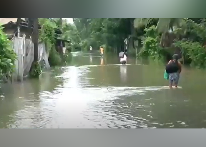 පහත් බිම් රැසක් ජලයෙන් යටවෙයි
