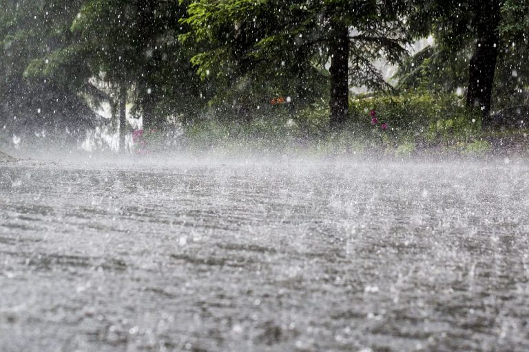 අද කාලගුණ නිවේදනය