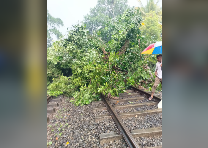 ප්‍රධාන මාර්ගයේ දුම්රිය ගමනාගමනයට බාධා