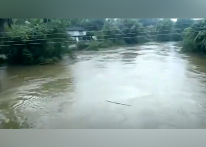 ගංගා රැසක ජල මට්ටම් ඉහළට