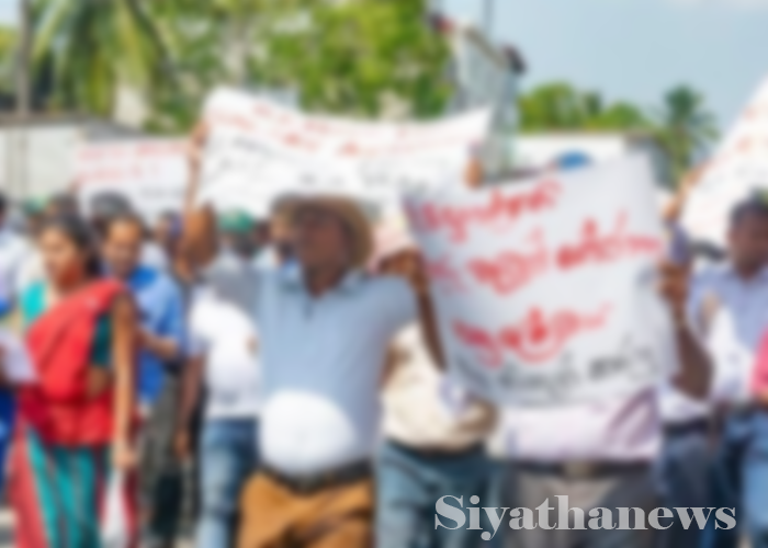 විදුලි සේවකයින් සහ විදුලි පාරිභෝගිකයින් හෙට පාරට