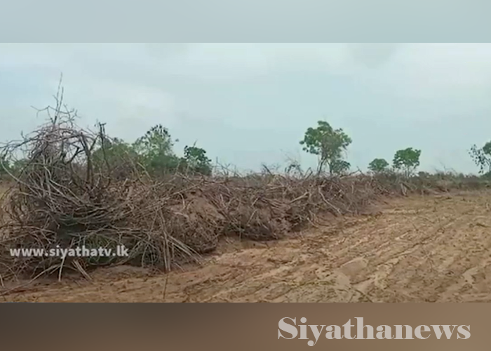 තම ගොවි බිම් අහිමිව අසරණ වූ තණමල්විල ජනතාව(VIDEO)