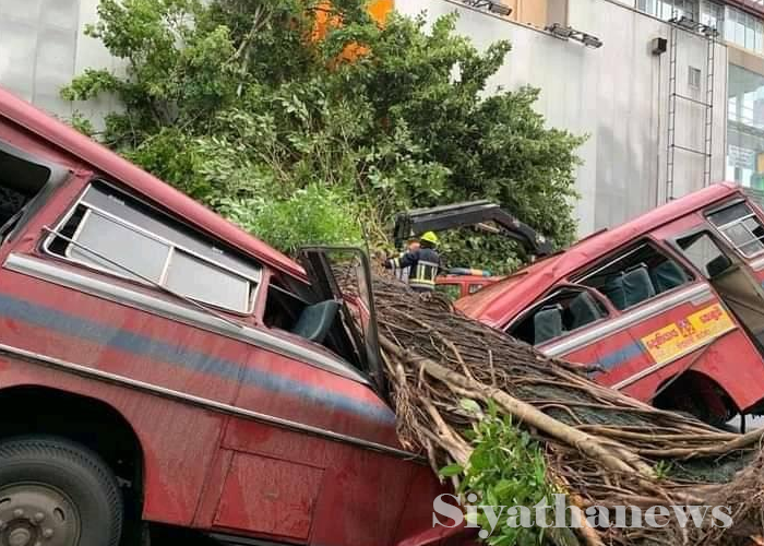 කොල්ලුපිටියේදී බස් රථයට ගසක් කඩා වැටේ