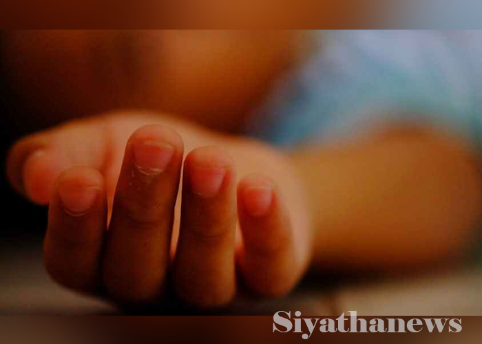 විදුලි සැර වැදී පියා හා කුඩා දැරිය මරුට