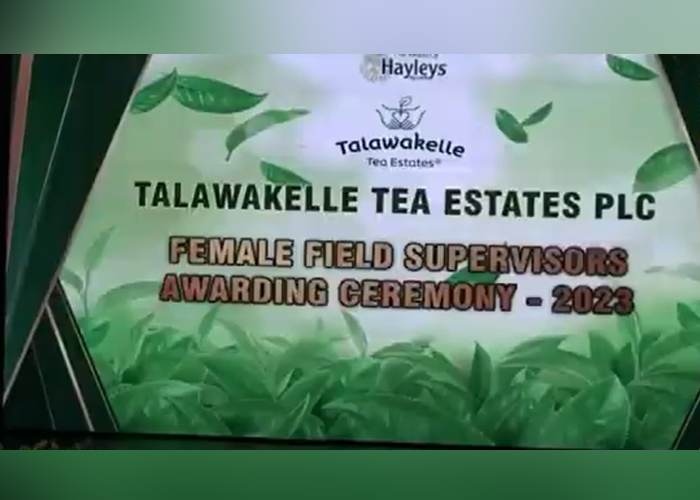 තේ වතු සදහා පළමුවරට වතු කම්කරු පාලිකාවන්(VIDEO)